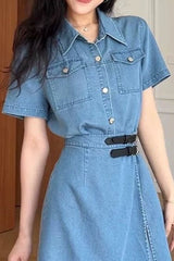 Waist Cinch Denim Dress