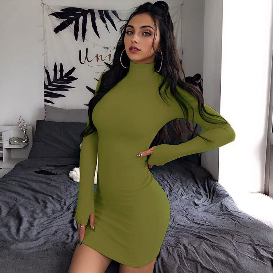 Julia Fashion - Turtleneck Long Sleeve Skinny Mini Dress