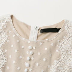 JuliaFashion - 2024Vintage Long Sleeve Mesh Lace Dress