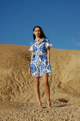 Ripley Mini Dress - Blue