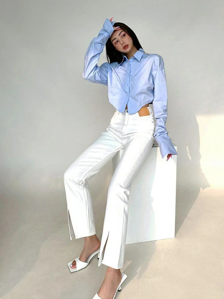 Korean Style Long Sleeve Button Crop Blouse blouse-250126