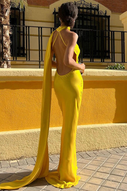 Backless Sash Tie Party Dress