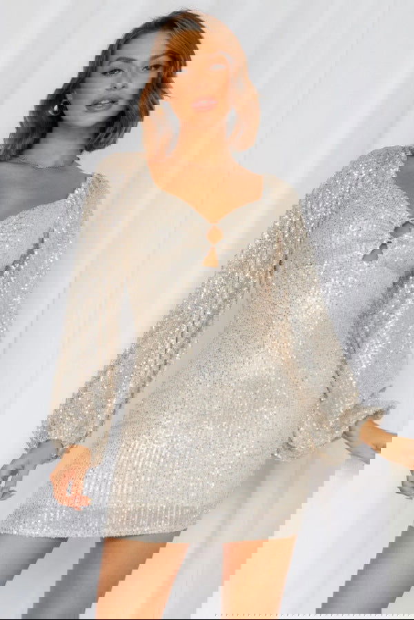 Sequin Long Sleeve Retro Sequ Dress