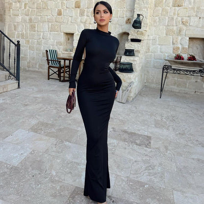 High Collar Long Sleeve Backless Slim Fit Maxi Dress Print Dress