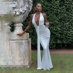 Aster Maxi Dress - White