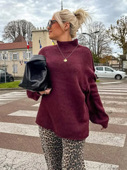Warm High Neck Retro Sweater